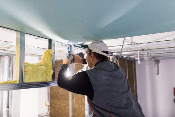 Best Types of Insulation in Trenton, FL